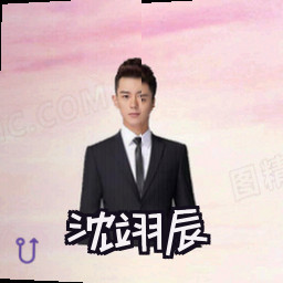 沈翊辰